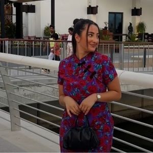 NWT Zara Frog Button Dress